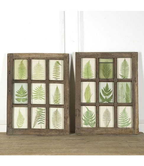 SALE: Set of Eighteen 19th Century French Fern Prints  by E J Lowe