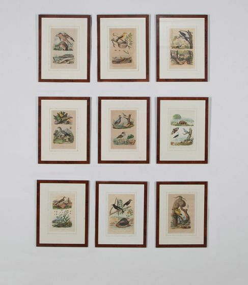 Set of Nine 19th Century German Air and Land Animal Prints