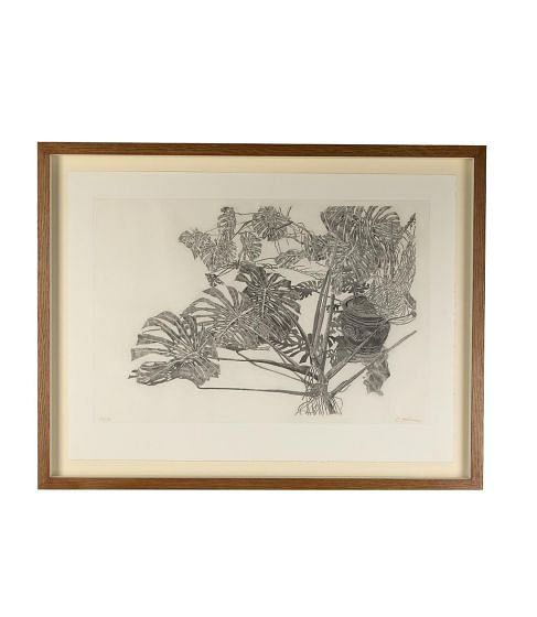 20th Century French 'Philodendron' Aquatint by Sam Szafran