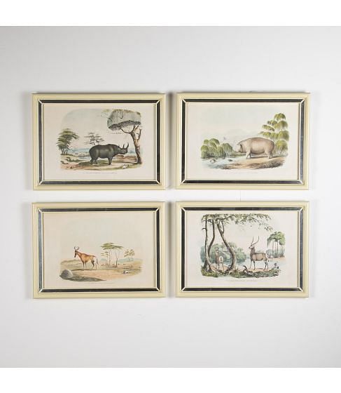 19th Century African Wildlife Lithographs