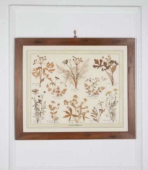20th Century Italian Preserved Flowers