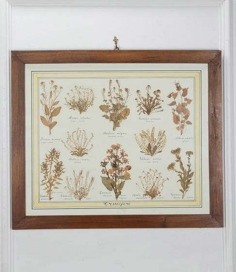 20th Century Italian Preserved Flowers
