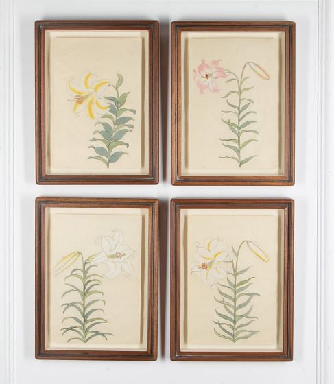 19th Century Paintings of Japanese Lilies
