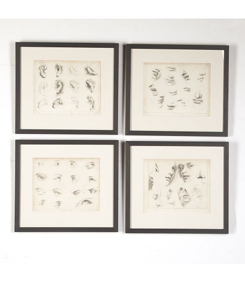Set of Four Framed Engravings of Facial Features from Ackermann's 'Cabinet of Arts'