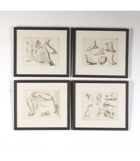 Set of Four Engravings of Limbs from Ackermann's 'Cabinet of Arts'