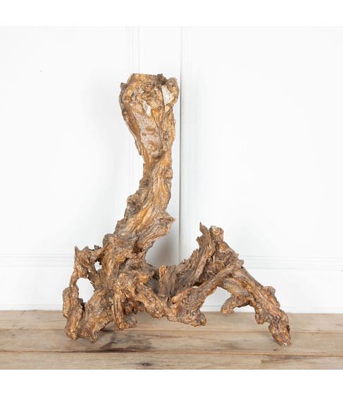 Bog Oak Tree Root