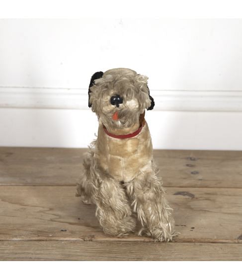 Old French Terrier Toy Dog