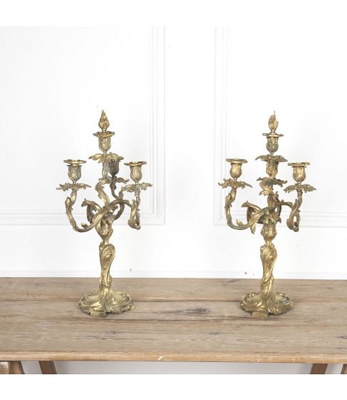 Pair of Louis XV Style Gilt Bronze Candelabra
