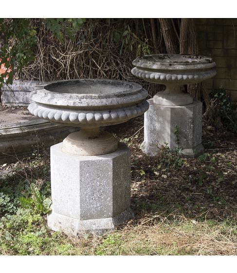 Pair of 20th Century Tazza Urns On Bases
