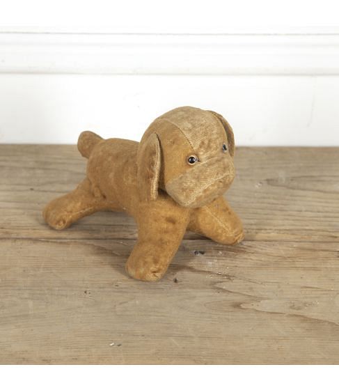 Small French Toy Pug Dog