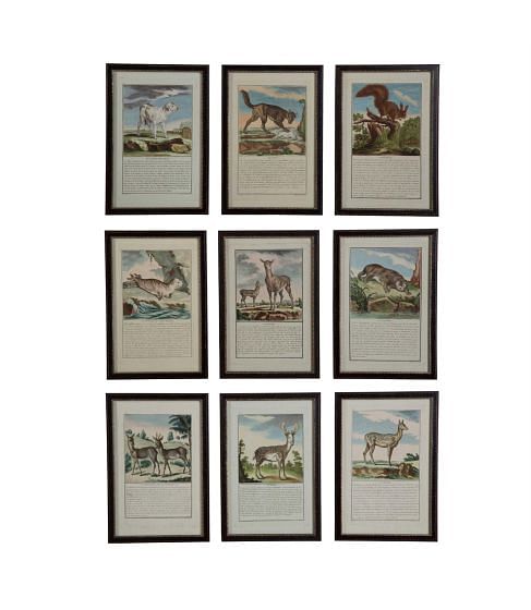 Set of 18th Century Animal Engravings by Pierre Joseph Buchoz