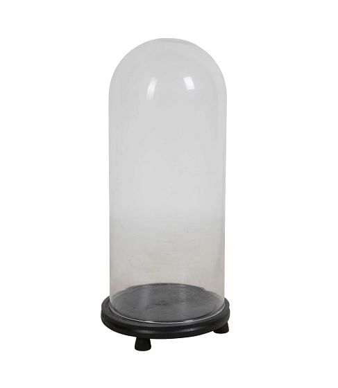 Victorian Glass Taxidermy Dome DA449760