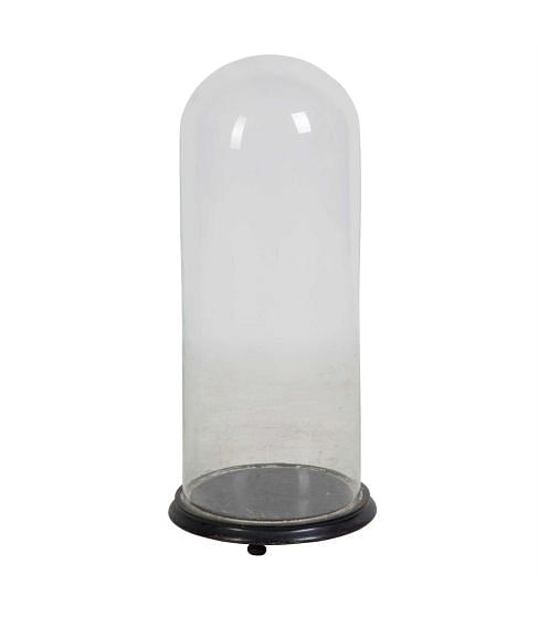 Victorian Glass Taxidermy Dome DA449761